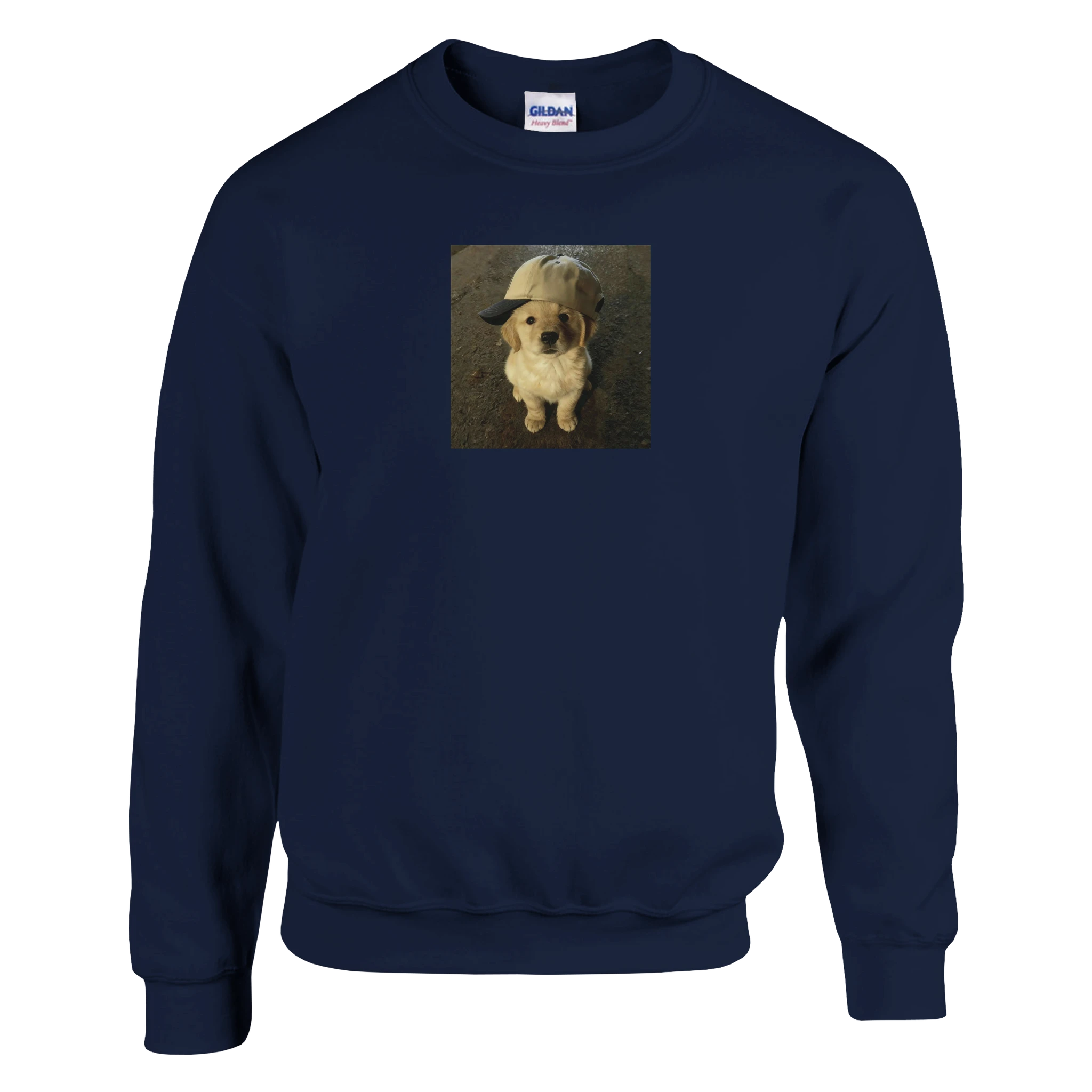 41e5b8fc-58cd-480d-9e2f-d95007bab369